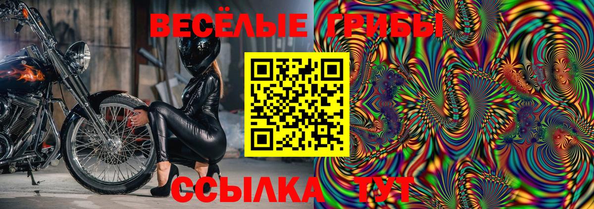 Галлюциногенные грибы MAGIC MUSHROOMS Гудермес